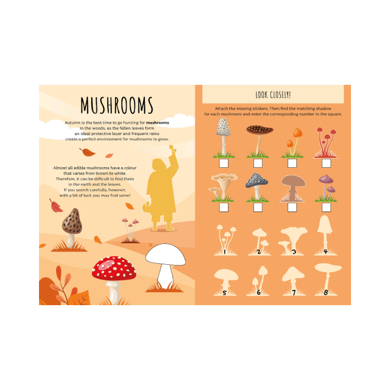 Sassi Stickers and Activities Book - Autumn