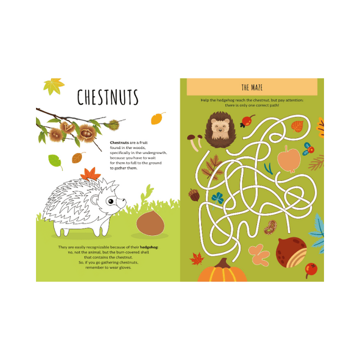 Sassi Stickers and Activities Book - Autumn