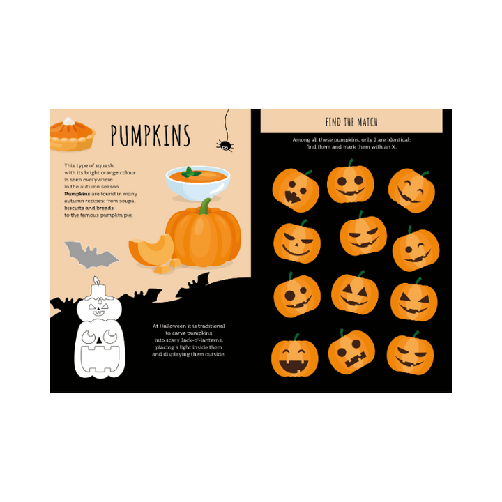 Sassi Stickers and Activities Book - Autumn