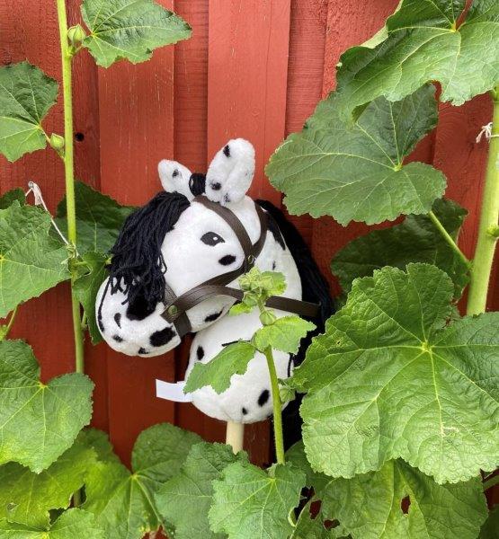 by Astrup Hobby Horse - Piebald, 68 cm